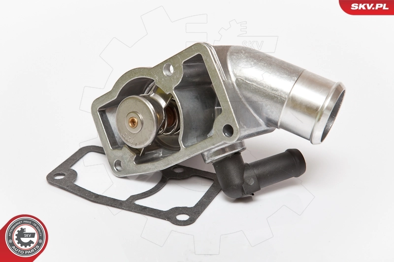 Thermostat, coolant